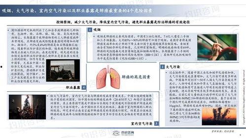 国产31页,揭秘中国电影产业的新篇章  第3张